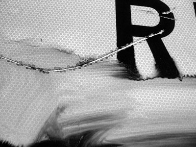 Amber Gutry Photograph